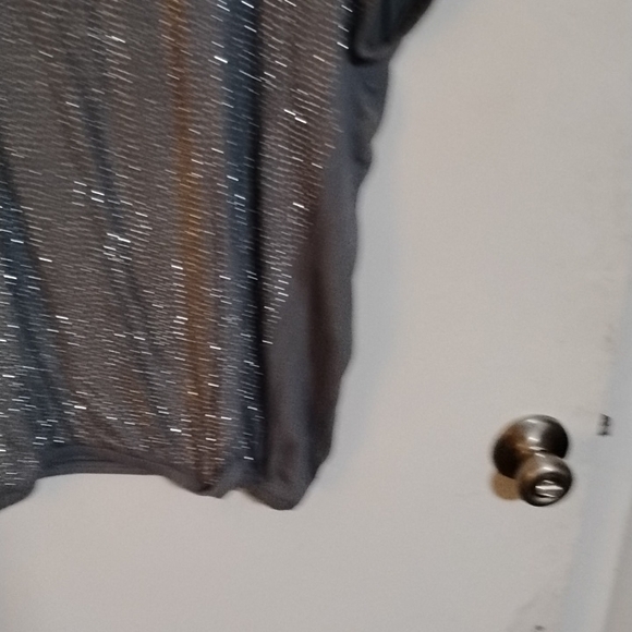 Gray Sequin Scoop Neck Flutter Sleeve Top - Picture 5 of 7